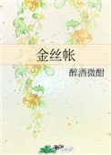 金絲帳